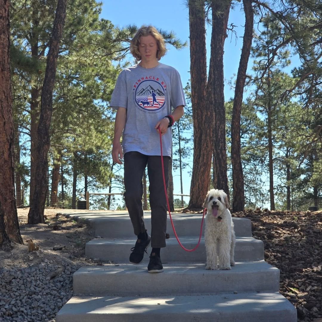 Handler and dog walking together through the pine woods.