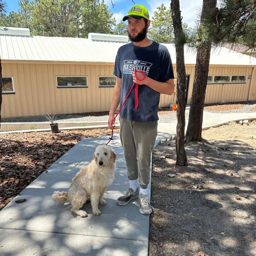 Trainer standing with dogs in the shaded outdoor training area.
