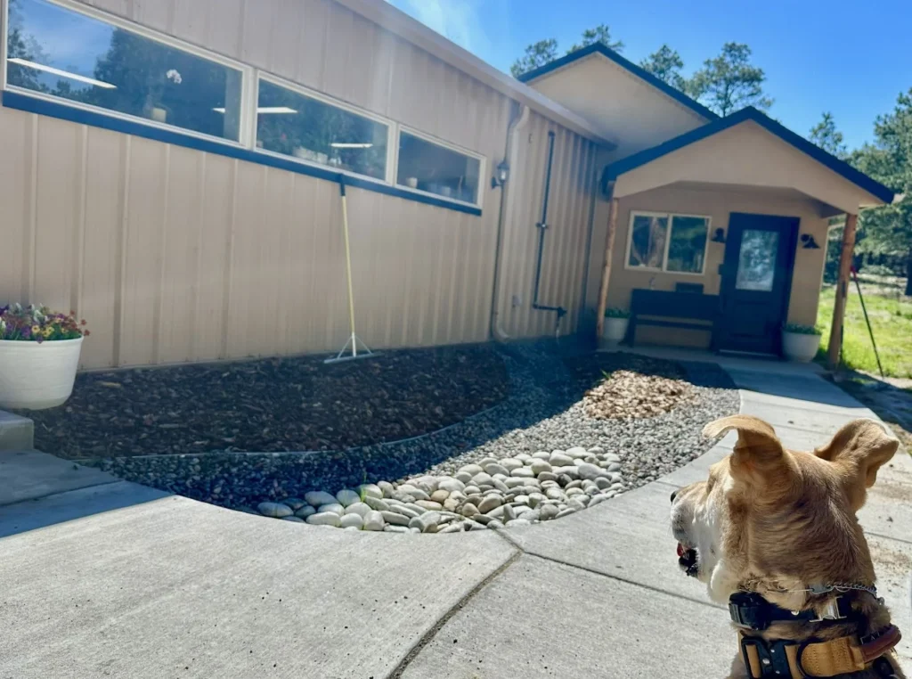 Exterior of Pinnacle K9's boarding facility