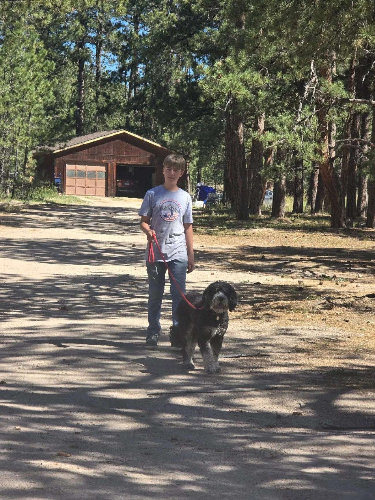 Dog exploring a wooded ranch trail