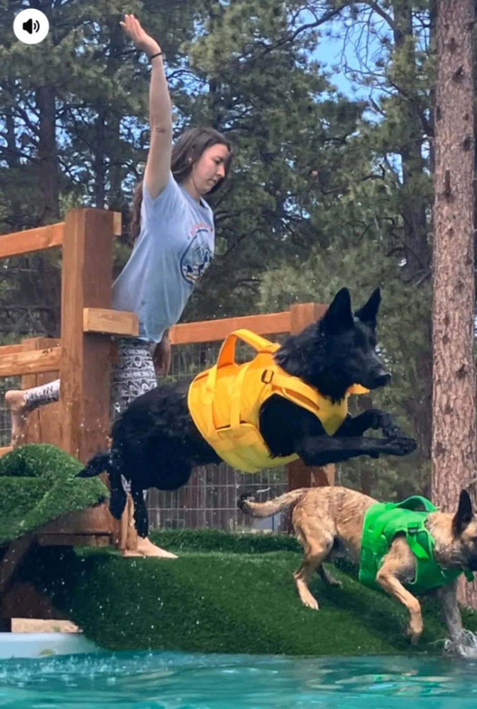 Handler and dog working together outdoors.