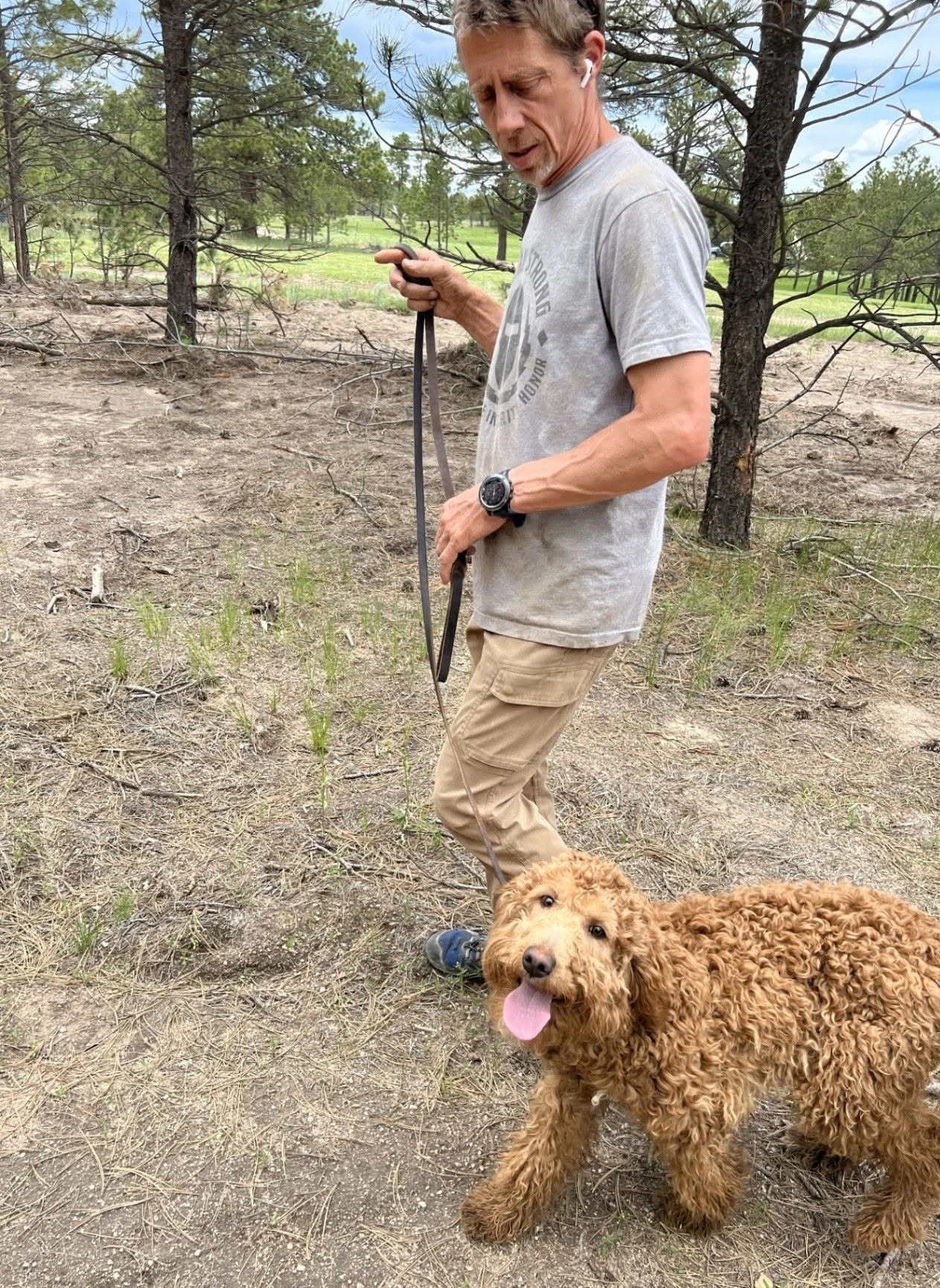 Trainer and dog working together among the pines.