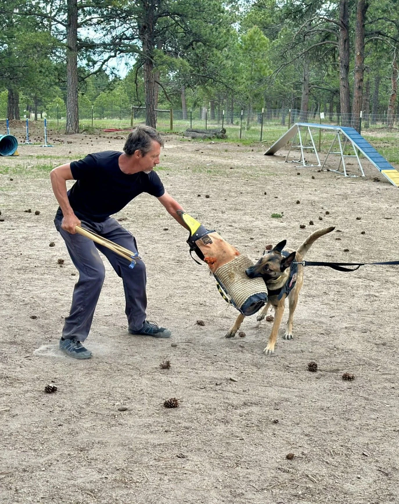 Trainer engaging with a dog on the open training field.