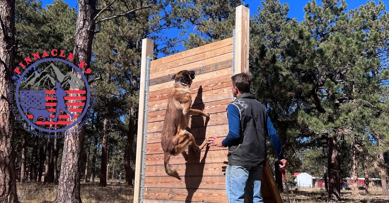 Trainer working with a dog at the ranch training wall.