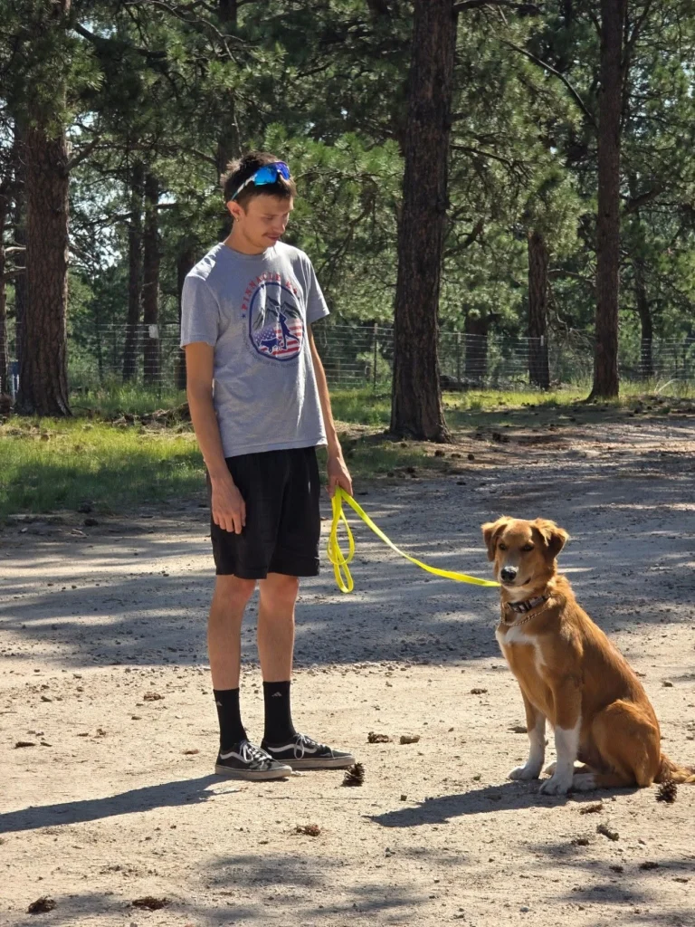 Trainer walking a dog on a wooded trail at Pinnacle K9.